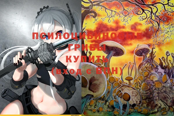 дживик Зерноград