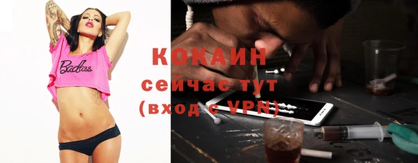 дживик Зерноград