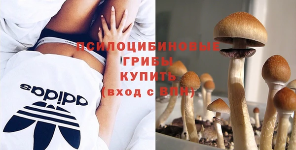 ALPHA PVP Зеленокумск