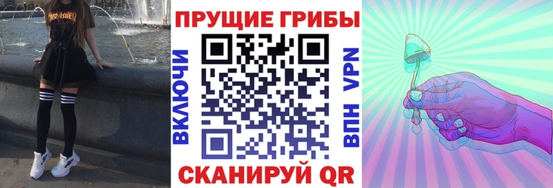 Псилоцибиновые грибы Psilocybe  Купить где  Гаврилов Посад 